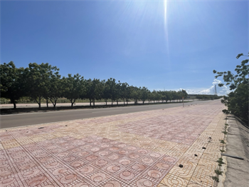 Bán đất