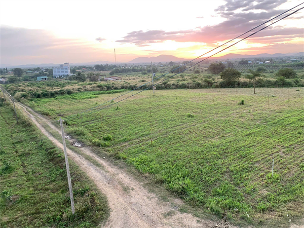 BÁN ĐẤT QUỸ ĐẤT 15HA TẶNG TRANG TRẠI BÒ, GIÁ HIẾM HÀM THẠNH, HÀM THUẬN NAM