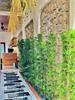 Cho thuê homestay gần biển 2 trung tâm Phan Thiết
