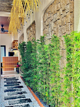 Cho thuê homestay gần biển 2 trung tâm Phan Thiết