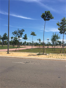 Bán đất