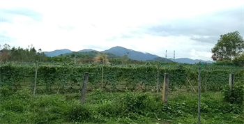 Bán đất