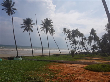 Bán đất biển, du lịch nghĩ dưỡng