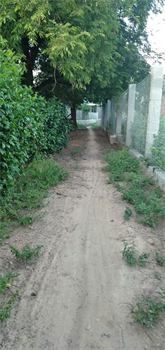 Bán đất